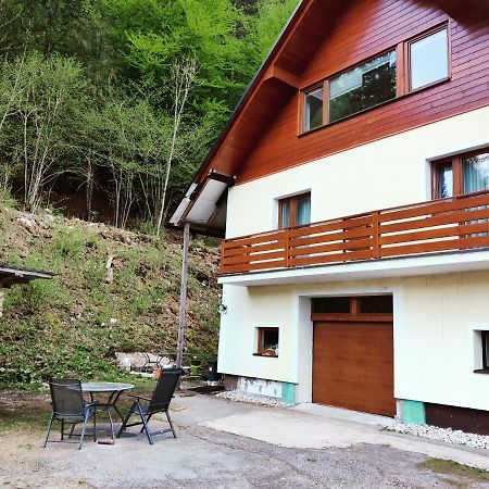 Seeblick Krippenstein Obertraun Bagian luar foto