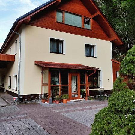 Seeblick Krippenstein Obertraun Bagian luar foto