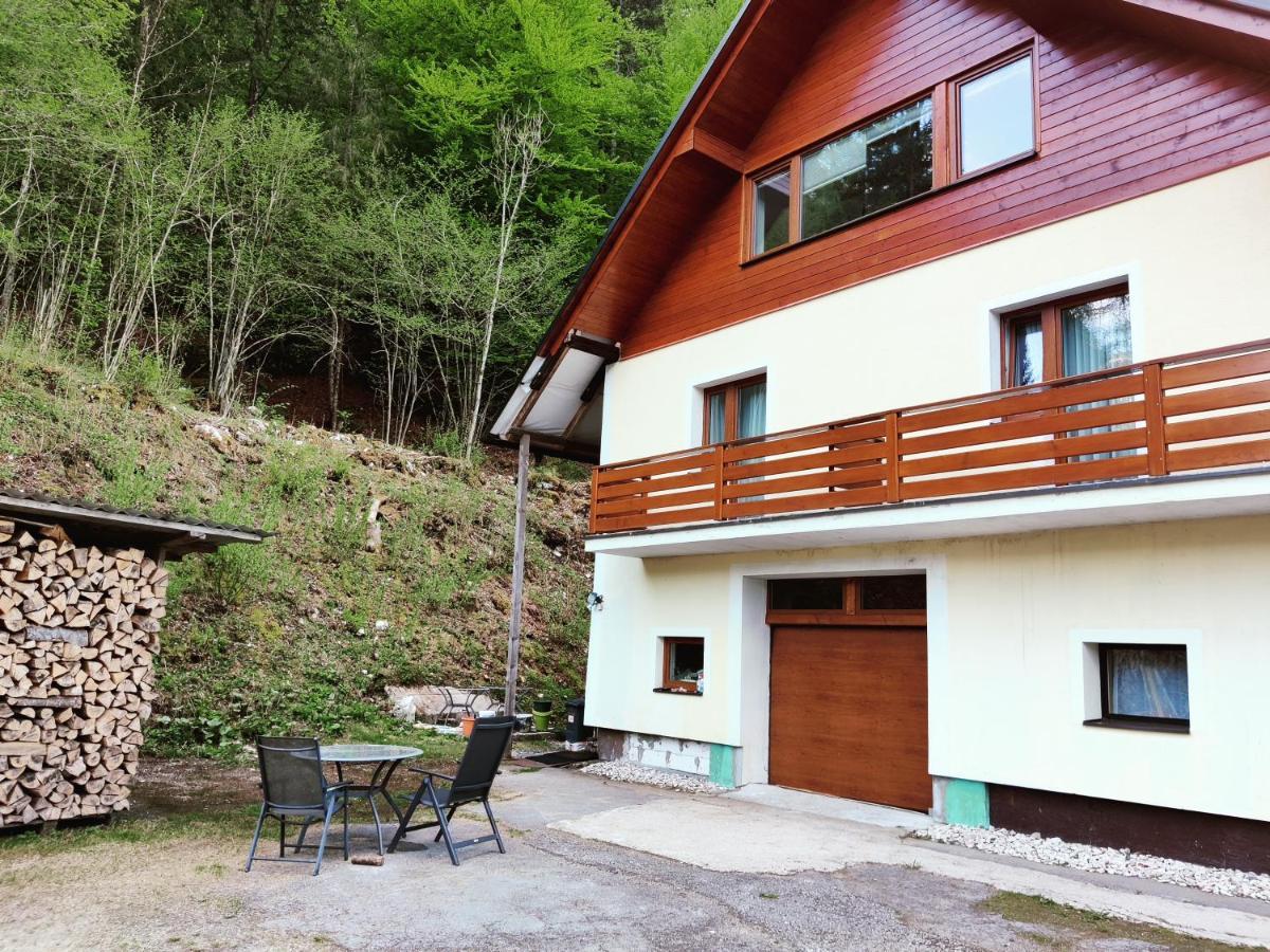 Seeblick Krippenstein Obertraun Bagian luar foto