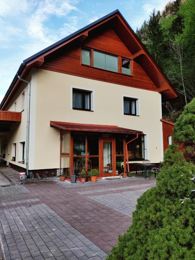 Seeblick Krippenstein Obertraun Bagian luar foto